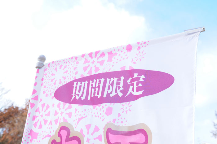 スタイリッシュのぼり